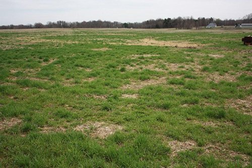 Tract 3 - REAL ESTATE AUCTION, 60 +/- Acres offered in 3 Tracts Swine Operation